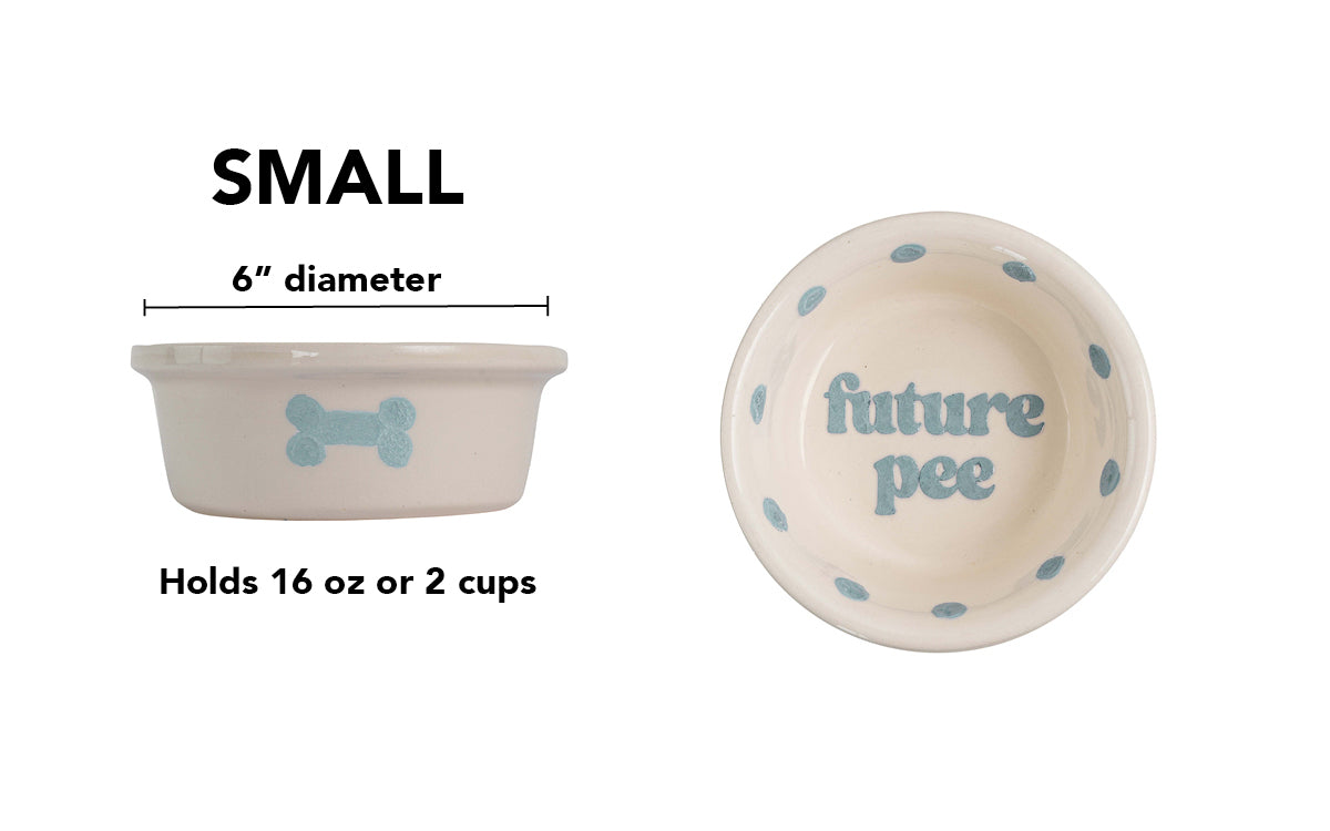 Future Pee Collection - Handmade Ceramic Pet Bowl with Funny Design