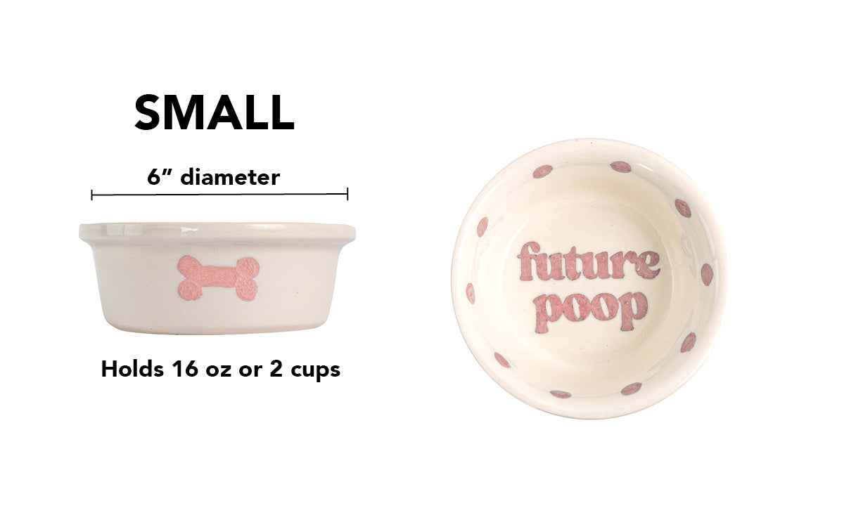 Future Poop Collection - Handmade Ceramic Pet Bowl with Funny Design